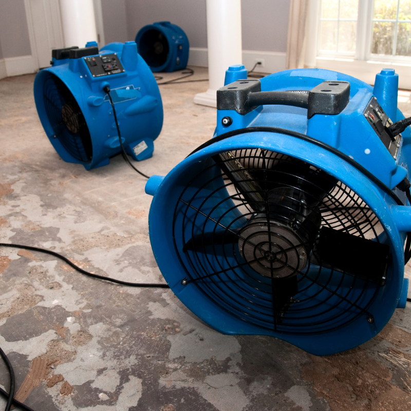 big blue fans drying floor